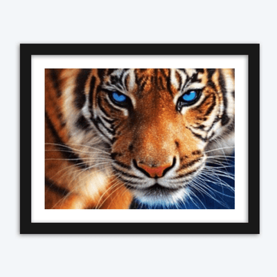 Blue Eyed Tiger
